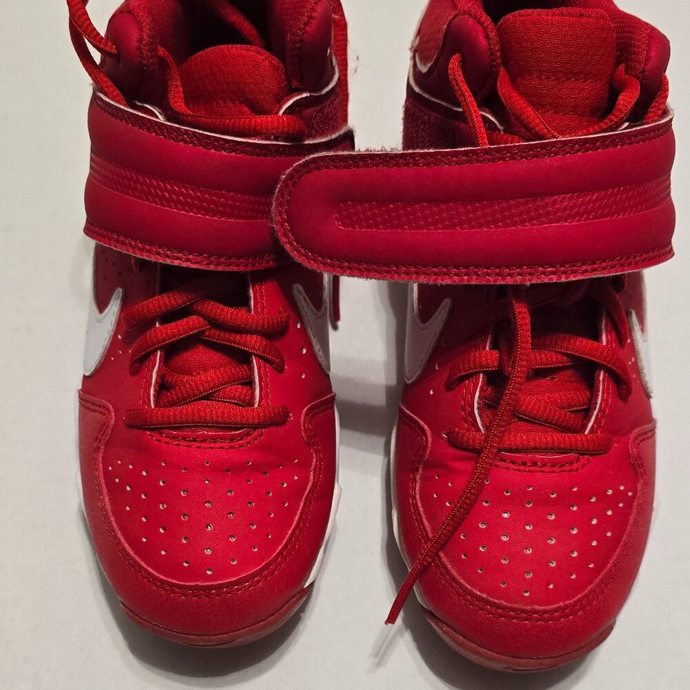 Nike Fast Flex Red